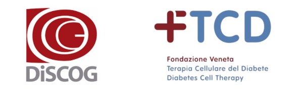 Logo Discig e FTCD