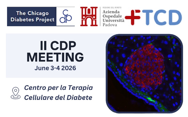 II CDP Meeting 2026 - copertina